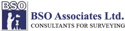 BSO ASSOCIATES LIMITED Logo